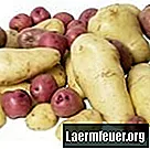 Vai asteriksa kartupeļi ir veselīgāki par angļu kartupeļiem?