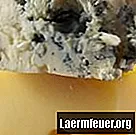 Bakterie używane do produkcji sera
