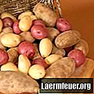 Rode aardappelen of roodbruine aardappelen