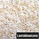 Jak skladovat rýži