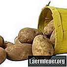 כיצד להקפיא תפוחי אדמה רוסטיים