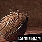 Hur man fryser strimlade kokosnötspaket