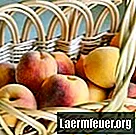 Wie man frische Pfirsiche in Beuteln einfriert