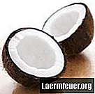 Hur kokosmjölk ska förvaras