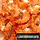 Cómo conservar los camarones por más tiempo después de descongelarlos