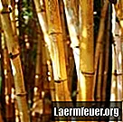 Cómo cuidar las tablas de cortar de bambú