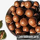 Jak loupat makadamové ořechy