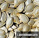 Cum se curăță semințele de dovleac