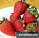 Comment décongeler des fraises