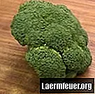 Hur man berättar om broccoli förstörs