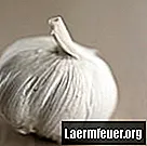 Jak vyrobit nakládaný uzený česnek