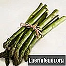 Sådan fryses frisk asparges