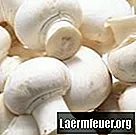 Како препознати да ли су печурке покварене