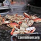 Hvordan vite om en rå krabbe er egnet for å spise