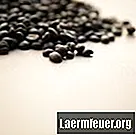 コーヒー豆を食べることの結果
