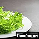 Hvad kan forårsage rust på salat?