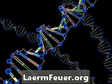 DNA ekstraheerimise eesmärk