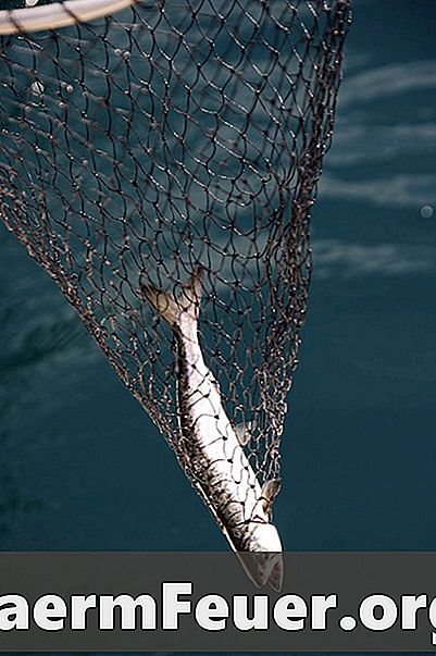 Adatas zvejas tīklu aušanai