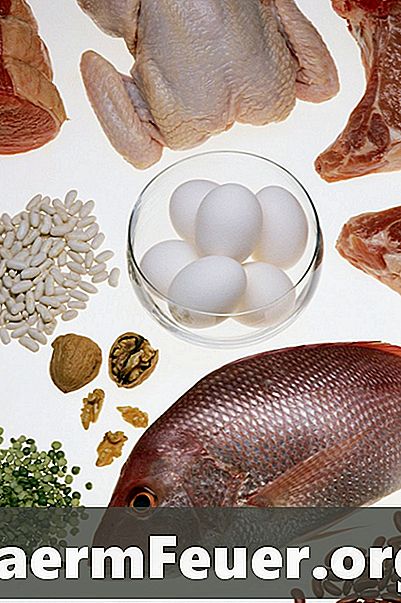 Alimenti ricchi di proteine ​​e a basso contenuto di calorie