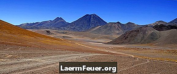 Animaux qui vivent dans le désert d'Atacama