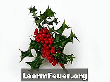 Cvetlični aranžmaji s holly in jagodami za božično mizo