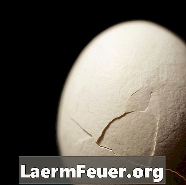 Projet d'école: Comment empêcher un œuf de tomber en panne