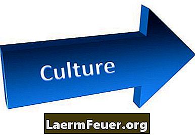 Dve glavni funkciji organizacijske kulture