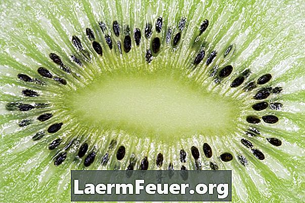 Cum să crească fructele kiwi