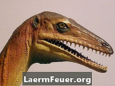 幼児教育のための恐竜の活動