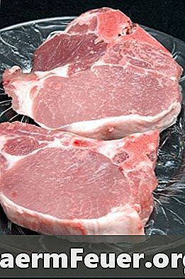 Hunde og madforgiftning, mens du spiser rå svinekød