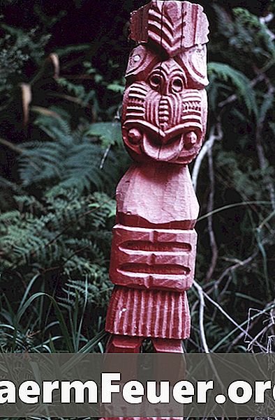 Comidas maoris tradicionais
