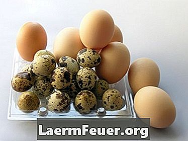 Hoe gebroken eierschalen in de magnetron te verwarmen om vogels te voeden