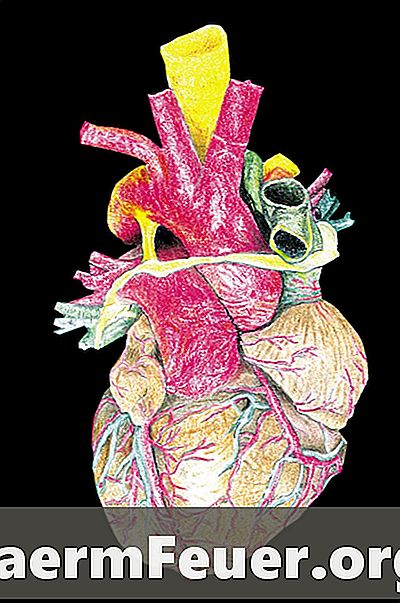 ผนังของ atria และ ventricles แตกต่างกันอย่างไร