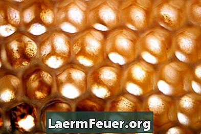 Hvordan kalibrere et refraktometer for å måle fuktighetsinnholdet i honning