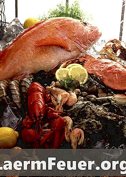 Hur man äter skaldjur