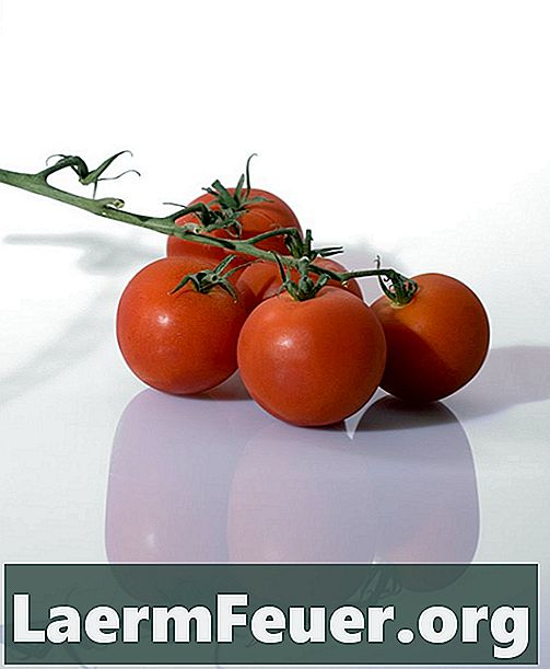 כיצד להקפיא עגבניות גולמי