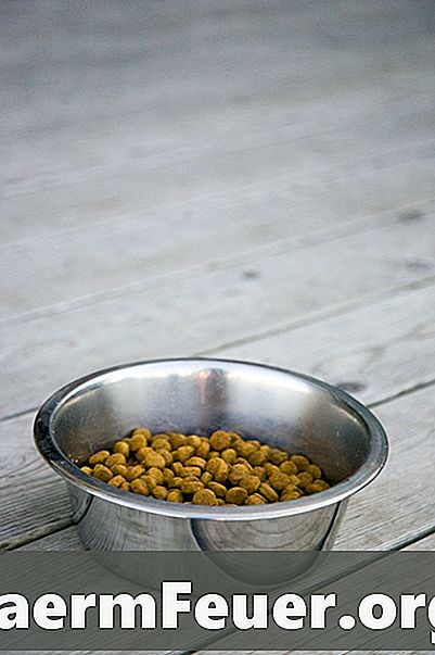 Comment obtenir des échantillons gratuits d'aliments pour chiens