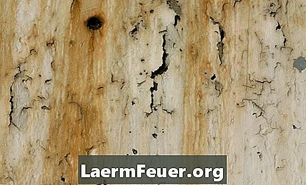 しっくいと木で作られた壁の欠陥を修正する方法