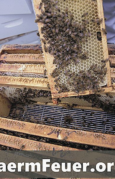 Hur man bygger en elektrisk honung extraktor
