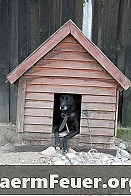 犬用のシンプルな木の犬小屋を建てる方法