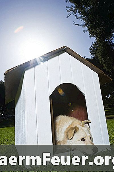 Cómo construir una casita para un perro grande