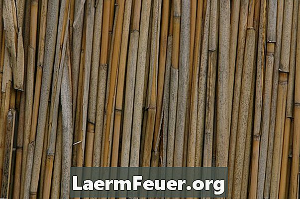 Kuidas lõigata bambusest kaar
