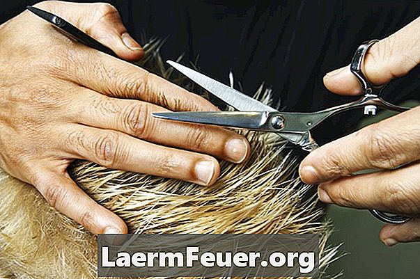 Como cortar cabelo masculino usando uma tesoura