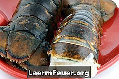 Cara memasak ekor lobster yang dicairkan