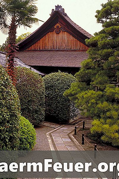 Как создать японский сад в маленьком дворе