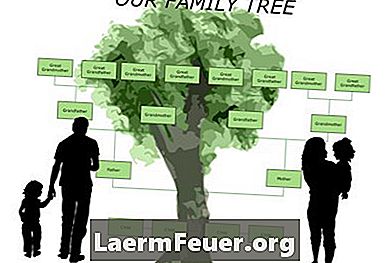 Jak utworzyć drzewo genealogiczne w programie Word