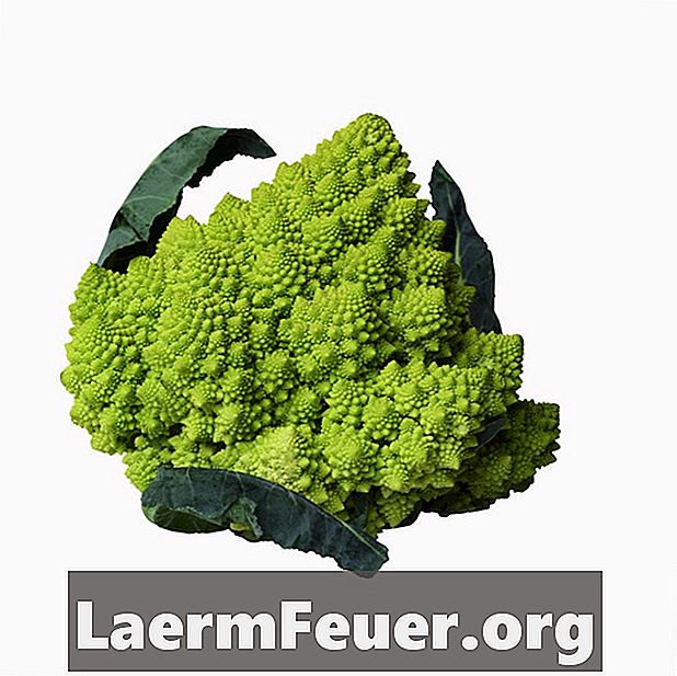 Kuidas kasvatada Broccoli Romanesco