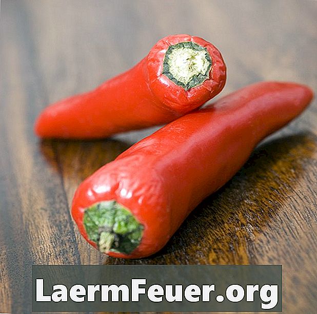 Hvordan vokse cayenne peppers