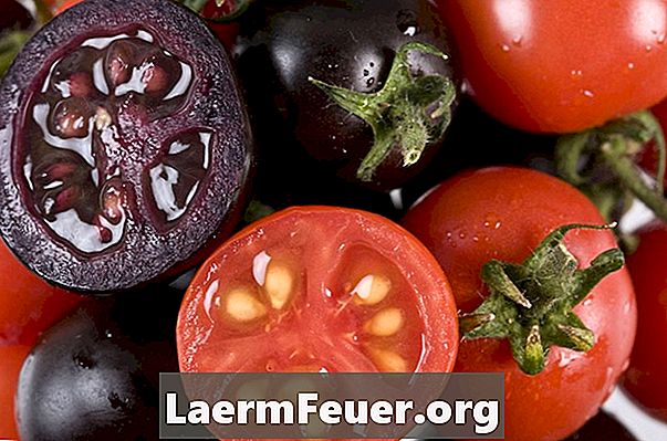 איך לגדל עגבניות סגולות עם חומציות נמוכה