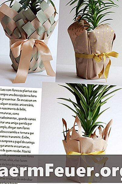 Kā iesaiņot augu podu uz dekoratīvā papīra
